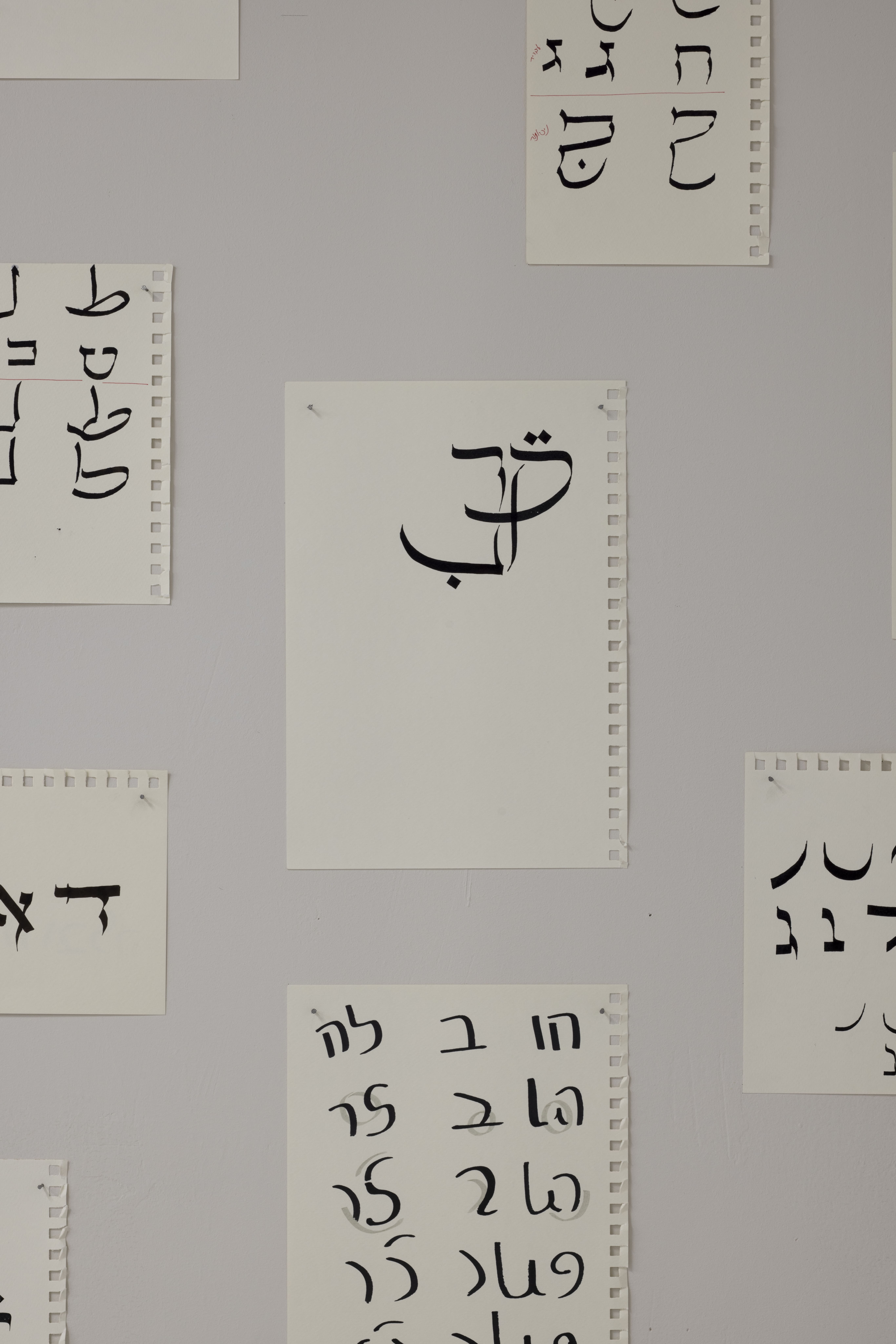 שחר ברלינר - מעבדה דו לשונית - פרטים מתוך העבודה