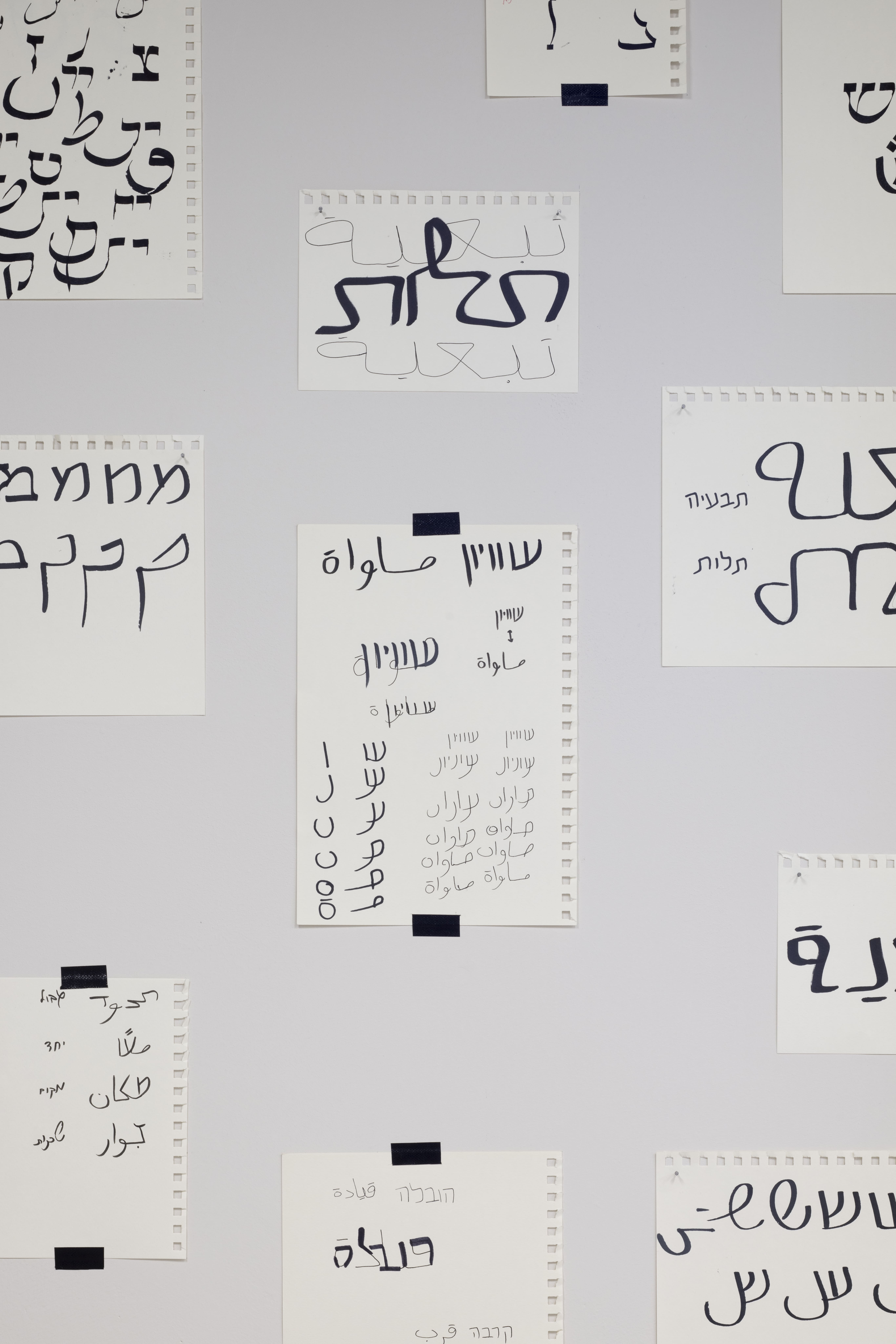 שחר ברלינר - מעבדה דו לשונית - פרטים מתוך העבודה